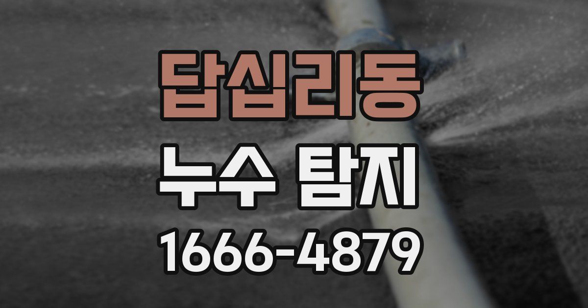 답십리동 누수 탐지