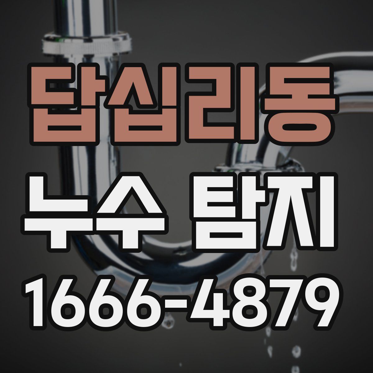 답십리동 누수 탐지