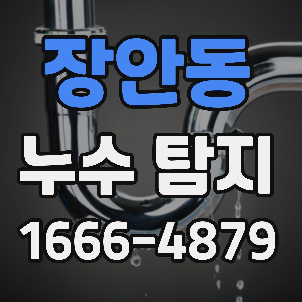 장안동 누수 탐지