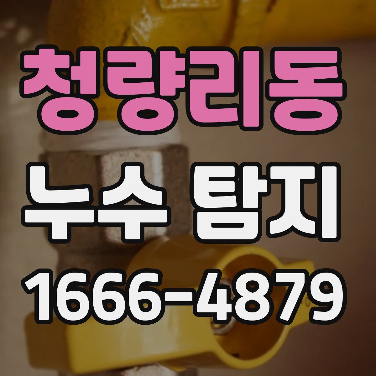 청량리동 누수 탐지