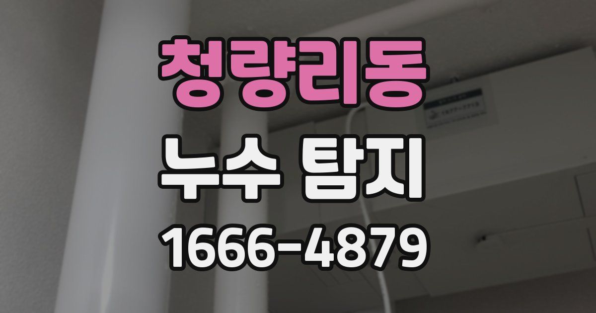 청량리동 누수 탐지