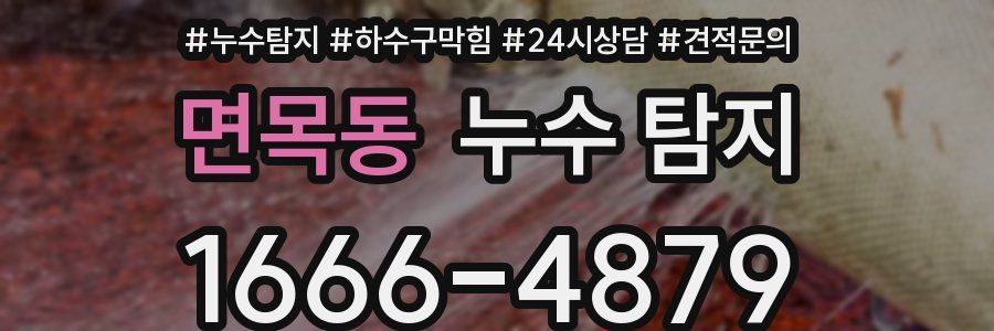 면목동 누수 탐지