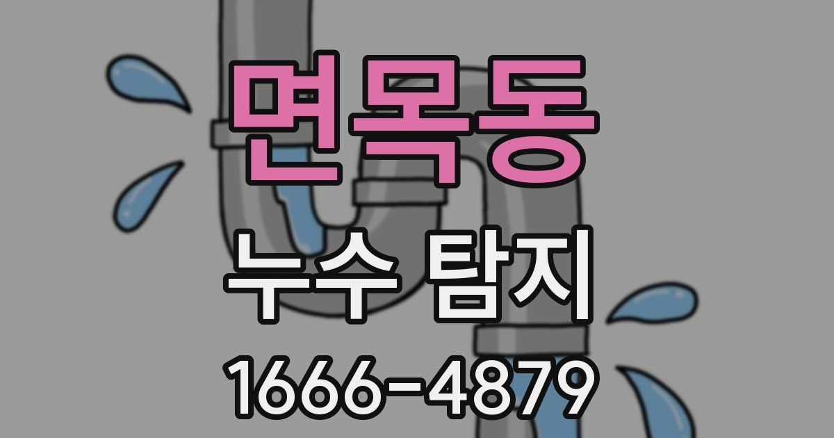 면목동 누수 탐지