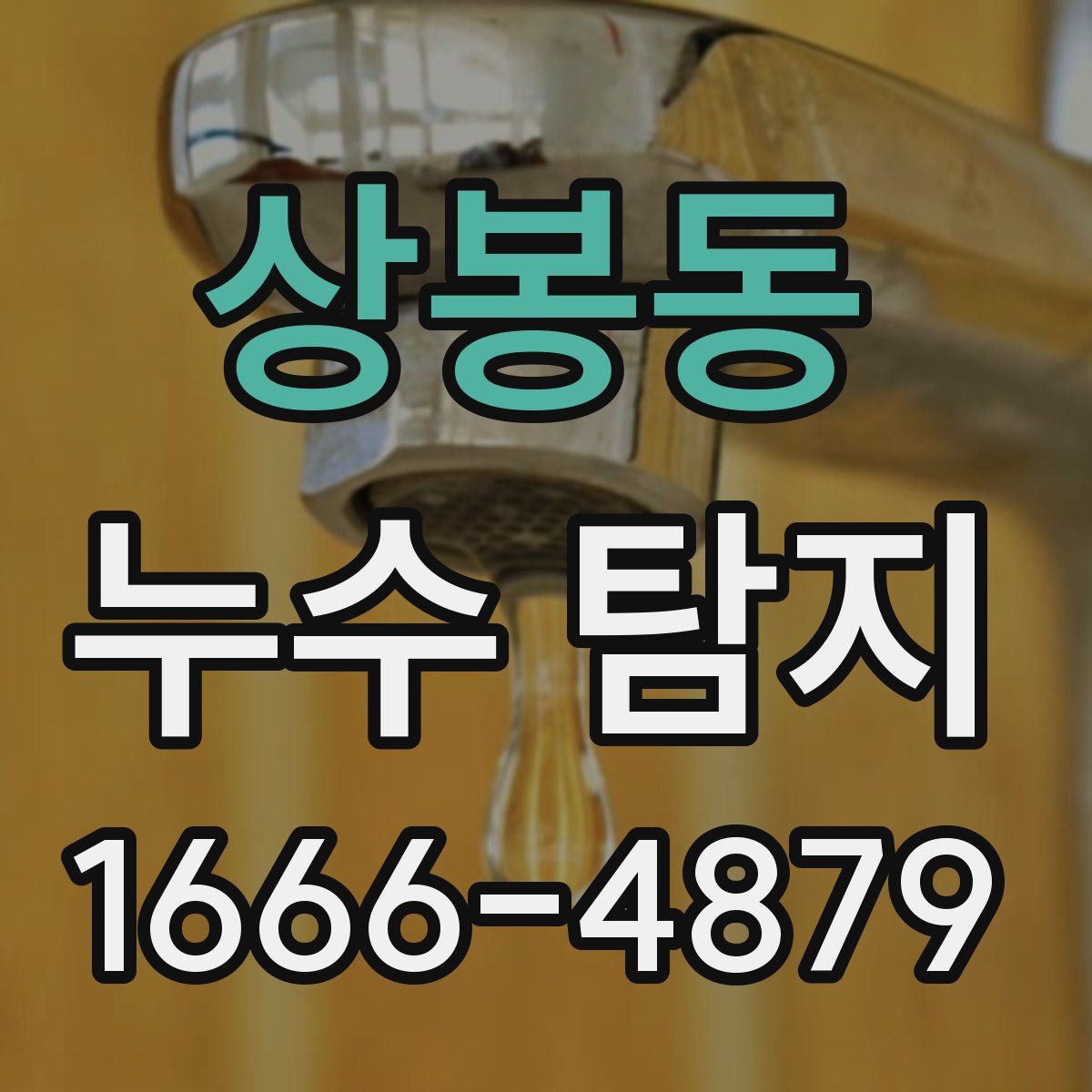 상봉동 누수 탐지