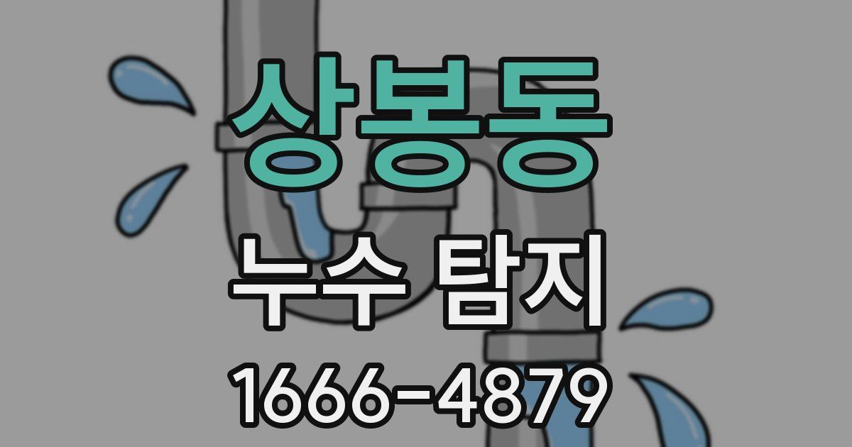 상봉동 누수 탐지