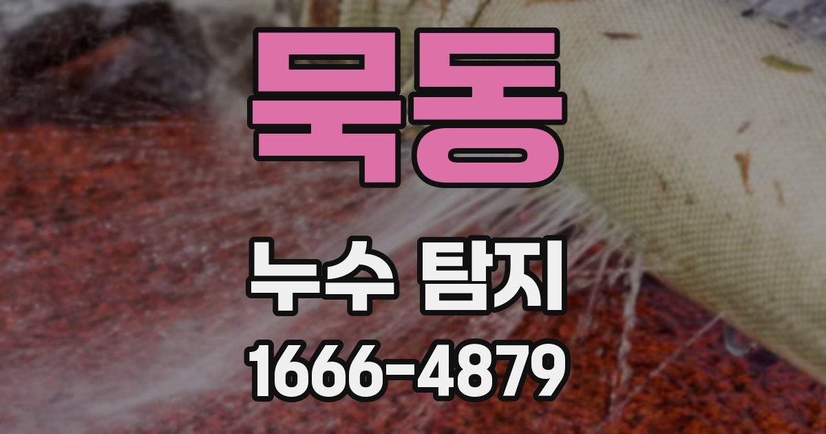 묵동 누수 탐지