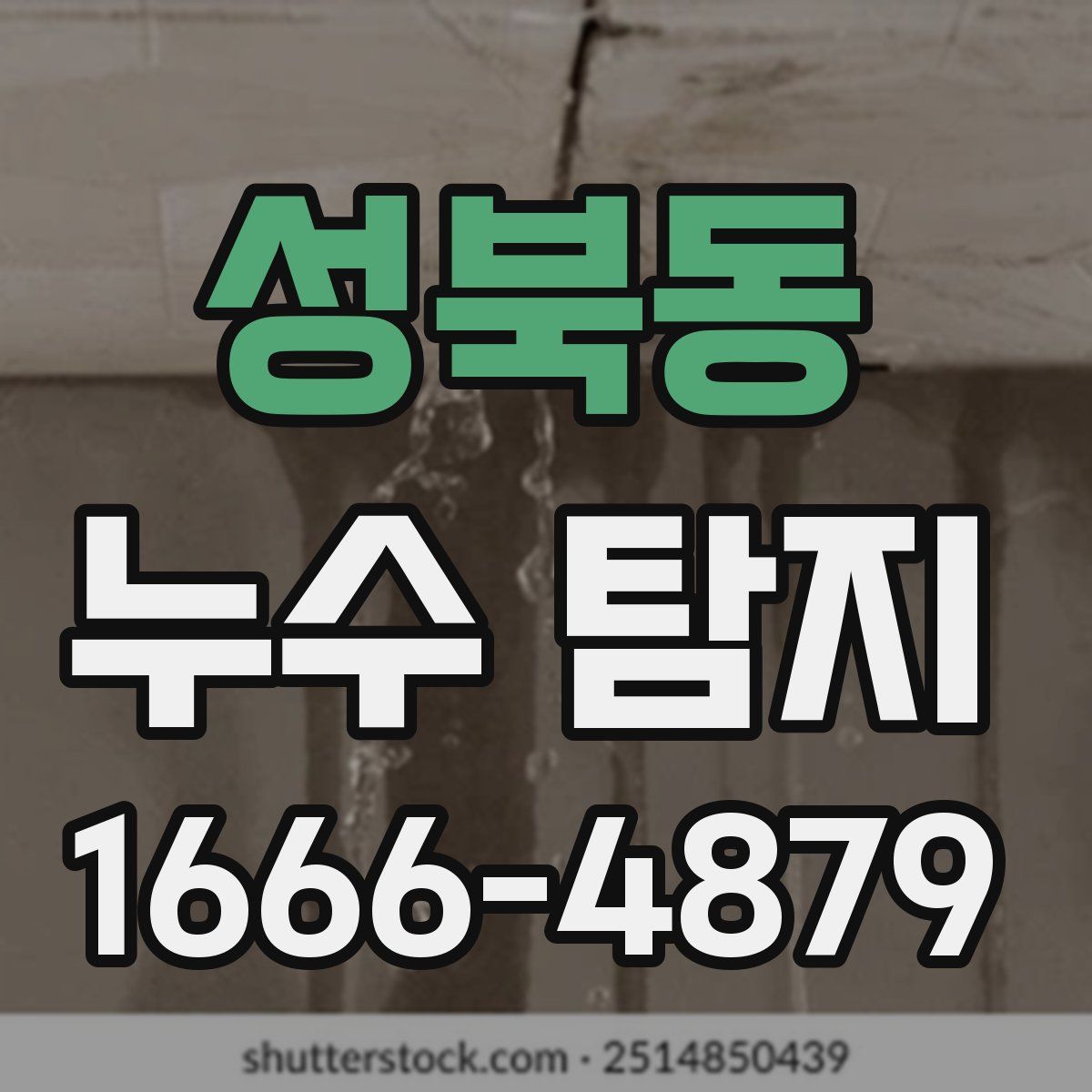 성북동 누수 탐지