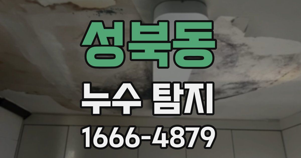 성북동 누수 탐지