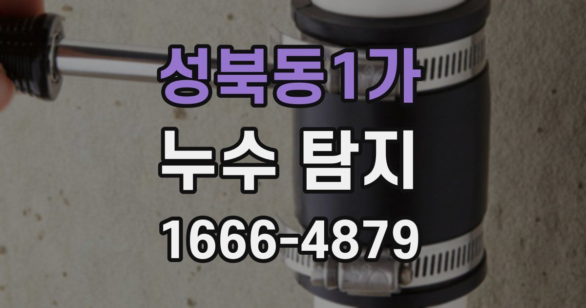 성북동1가 누수 탐지