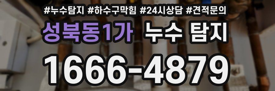 성북동1가 누수 탐지