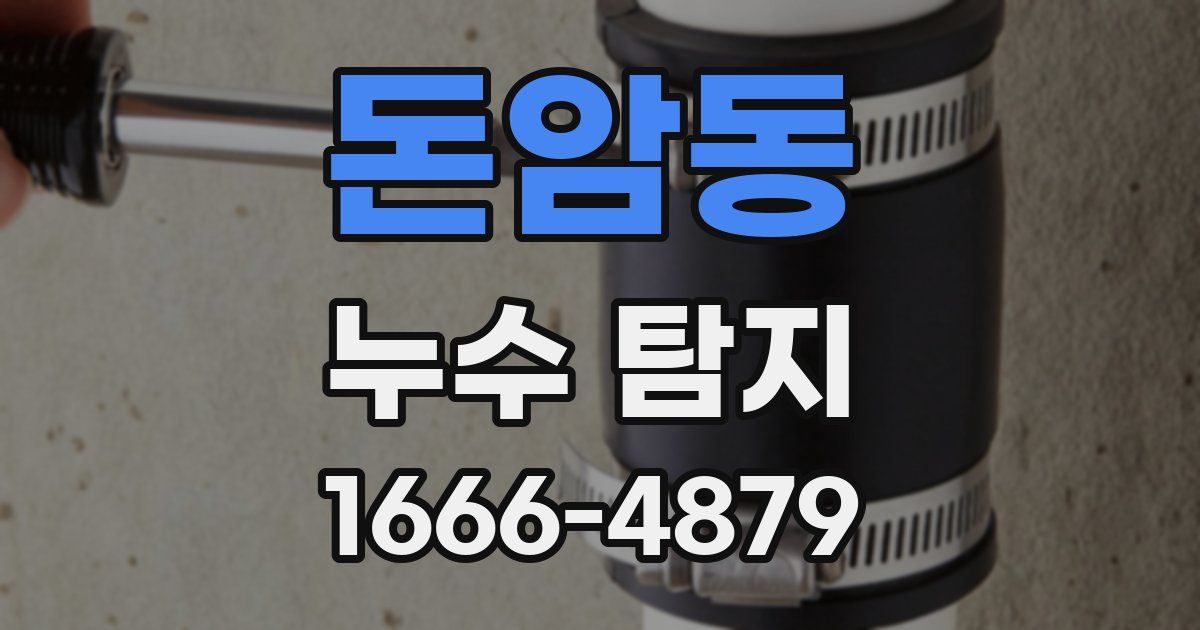 돈암동 누수 탐지