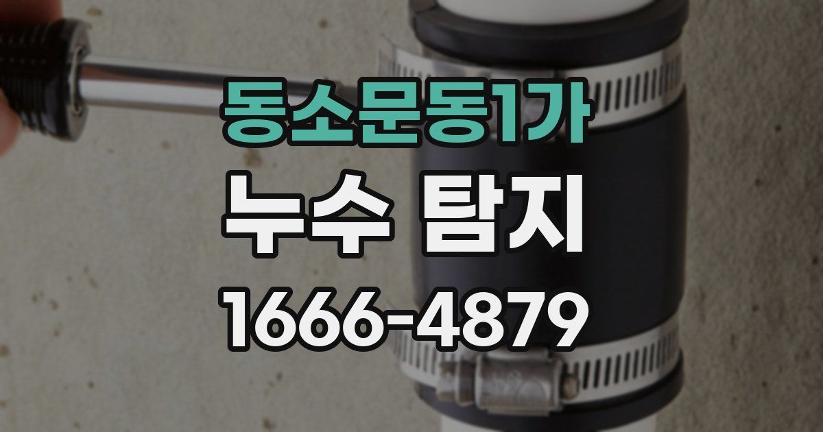 동소문동1가 누수 탐지