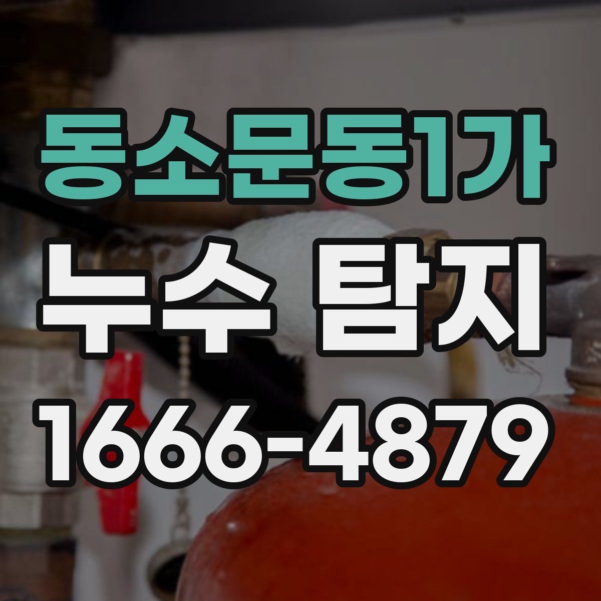 동소문동1가 누수 탐지