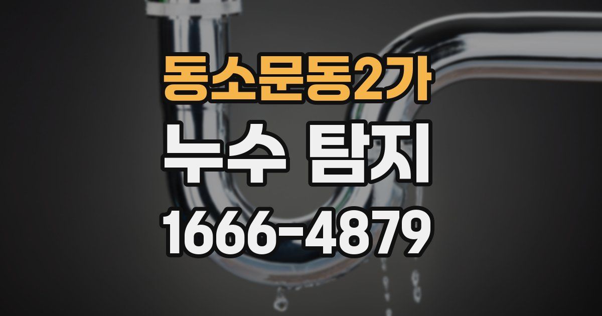 동소문동2가 누수 탐지