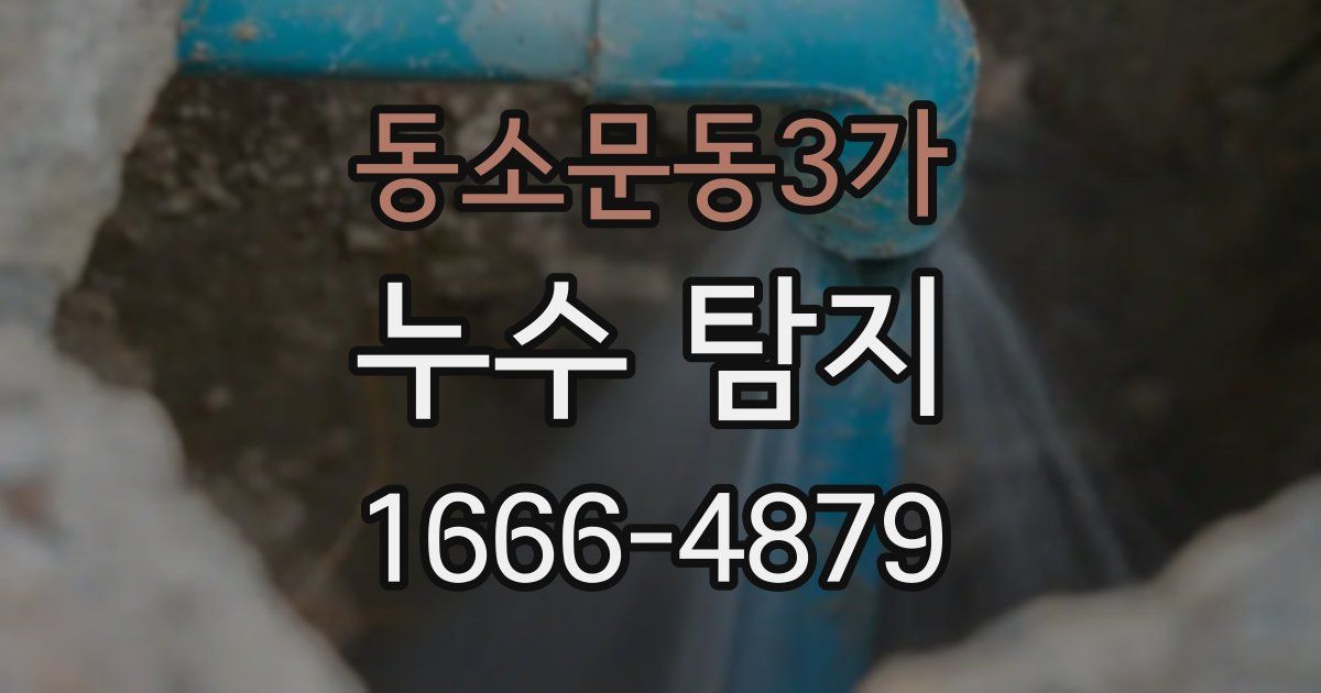 동소문동3가 누수 탐지