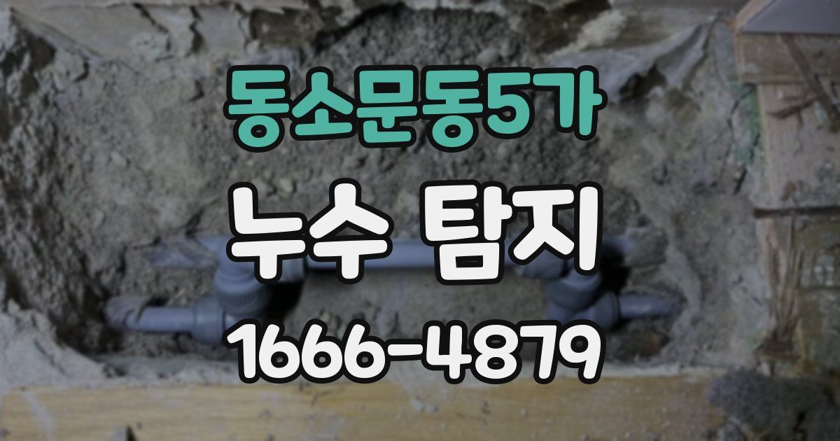 동소문동5가 누수 탐지