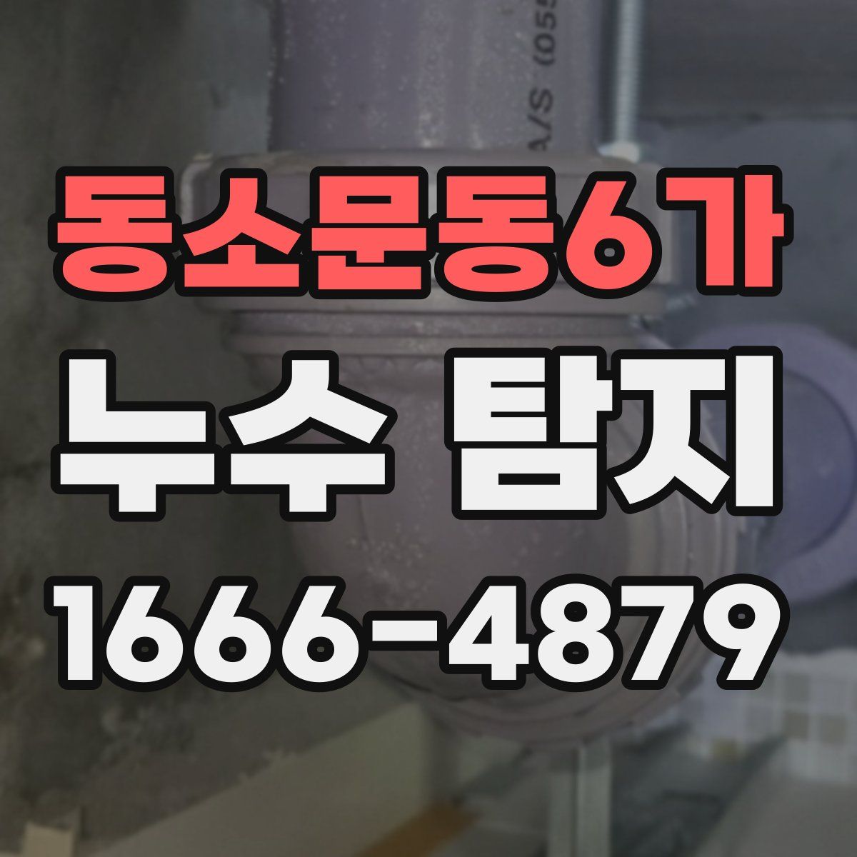 동소문동6가 누수 탐지