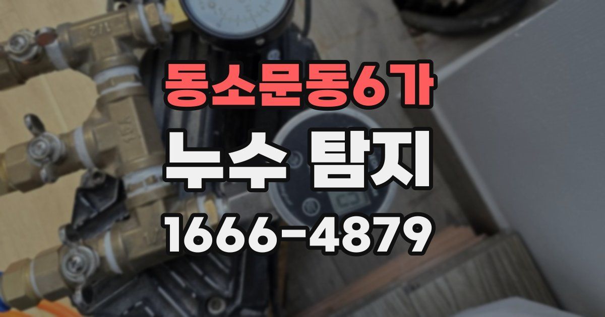 동소문동6가 누수 탐지
