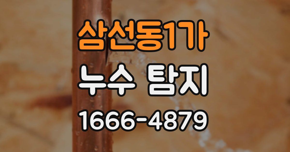 삼선동1가 누수 탐지