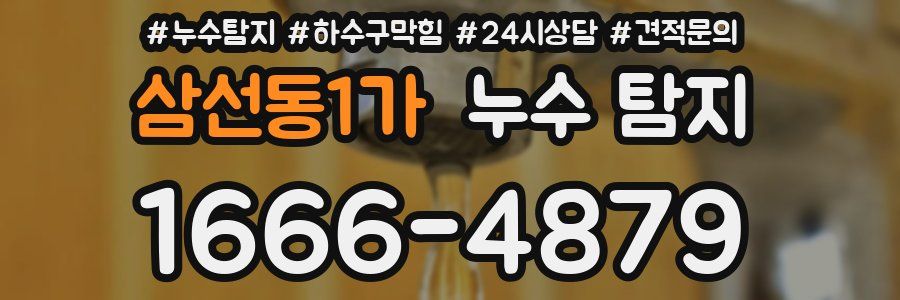 삼선동1가 누수 탐지