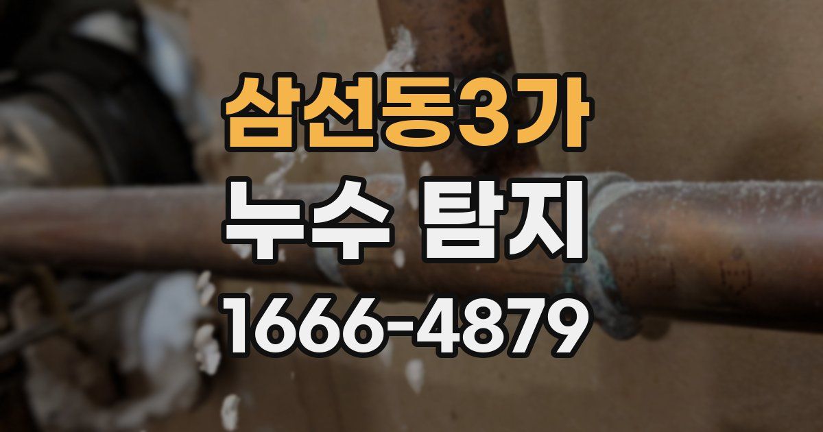 삼선동3가 누수 탐지