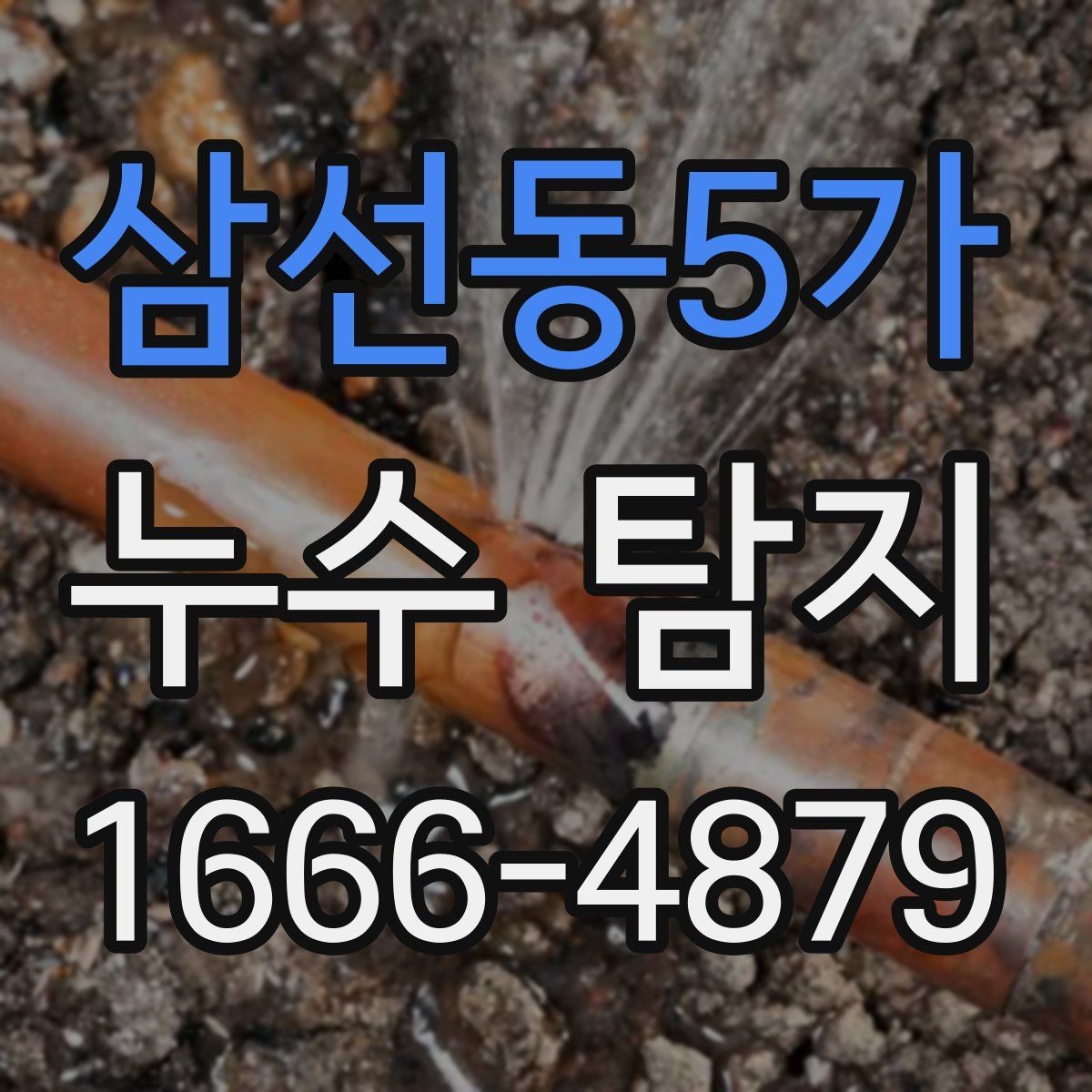 삼선동5가 누수 탐지 사례로 보는 주방과 욕실 문제