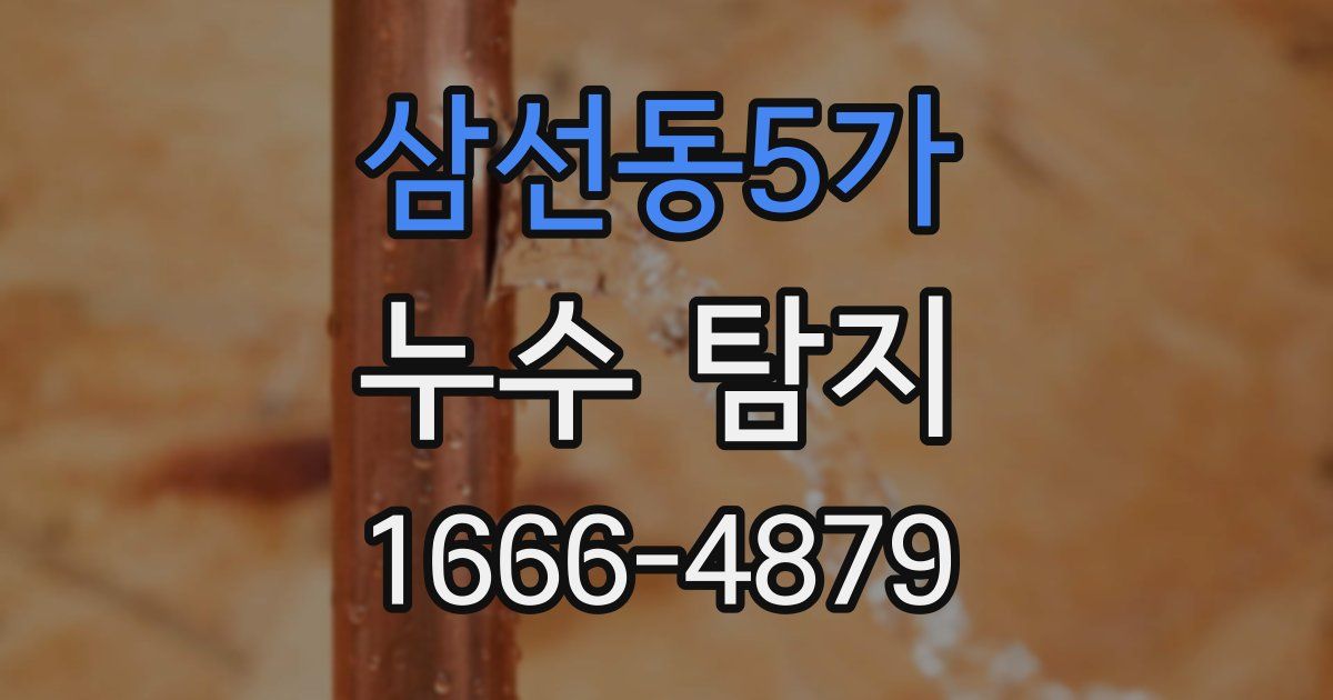 삼선동5가 누수 탐지