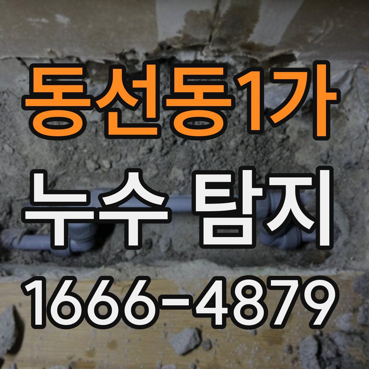 동선동1가 누수 탐지