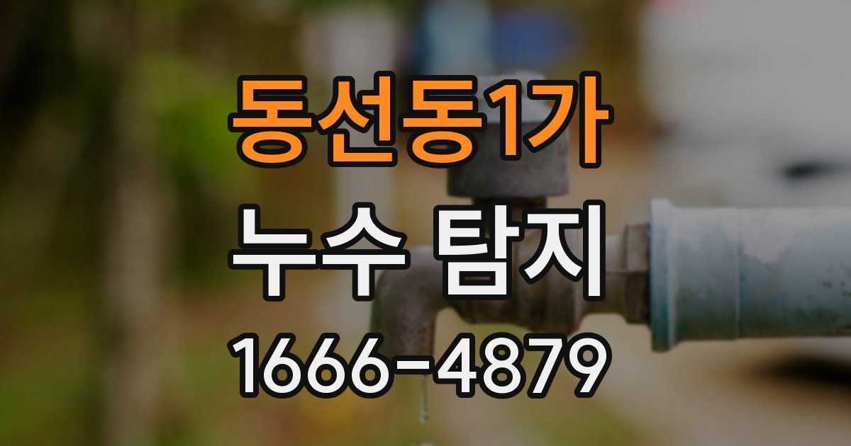 동선동1가 누수 탐지