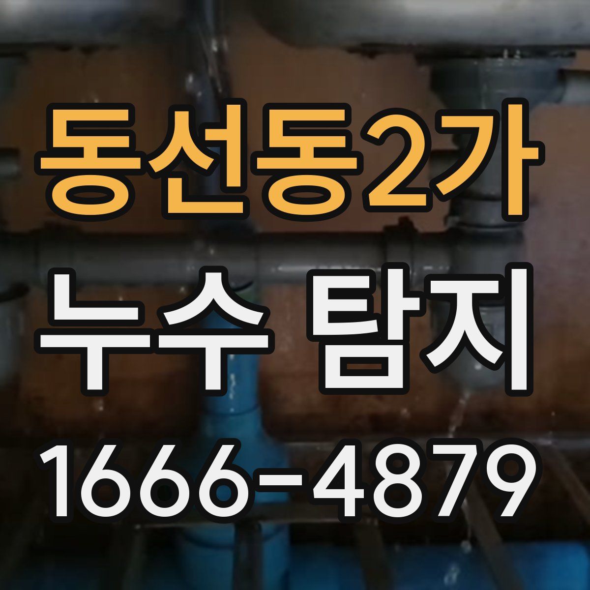 동선동2가 누수 탐지