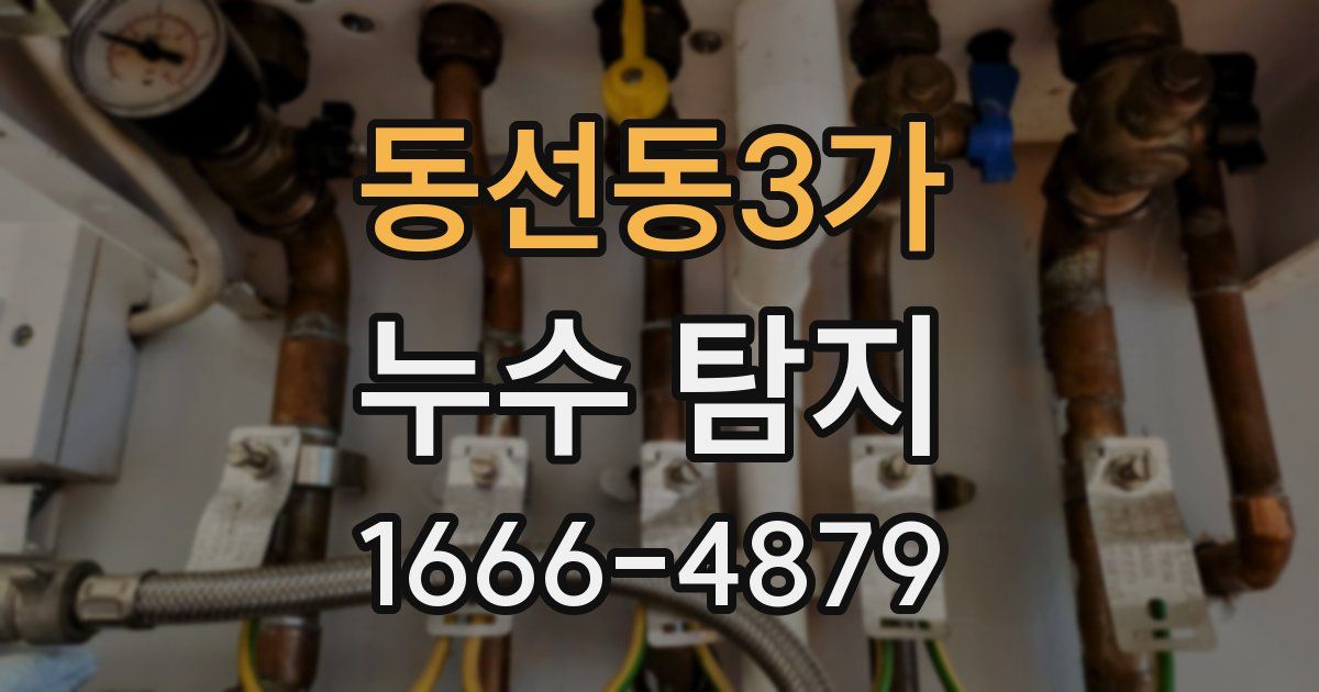 동선동3가 누수 탐지