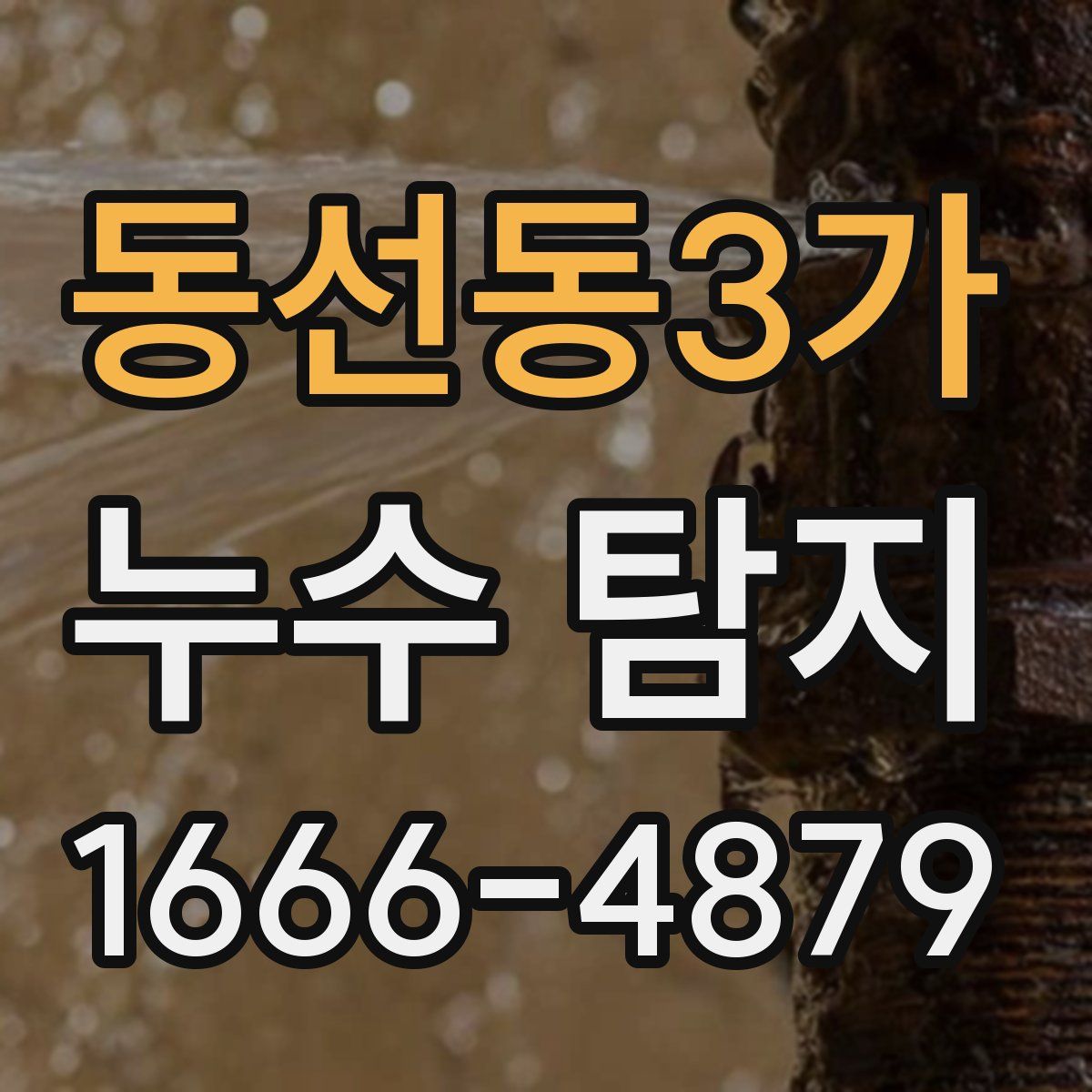 동선동3가 누수 탐지