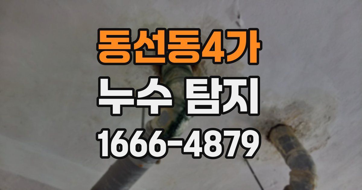 동선동4가 누수 탐지