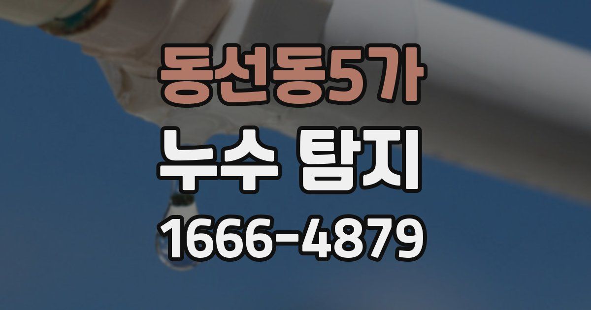 동선동5가 누수 탐지