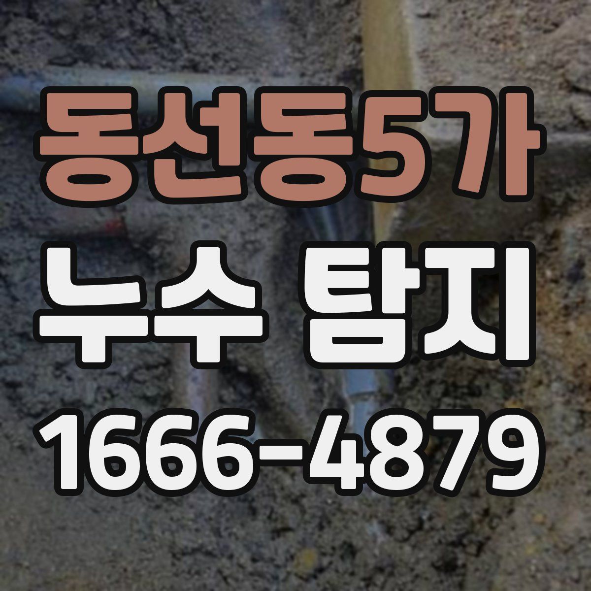 동선동5가 누수 탐지