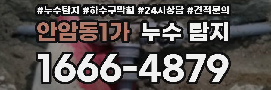 안암동1가 누수 탐지