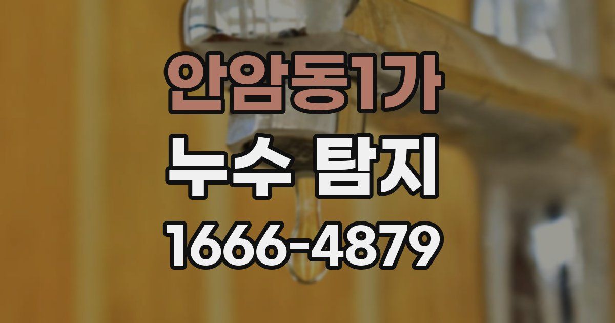 안암동1가 누수 탐지