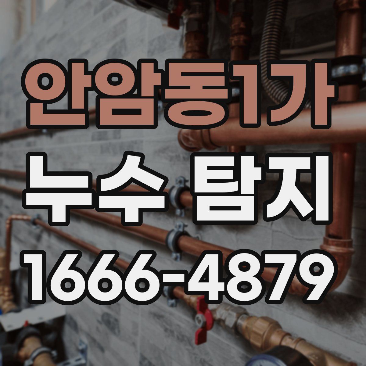 안암동1가 누수 탐지