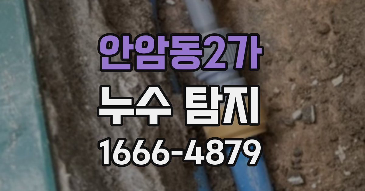 안암동2가 누수 탐지