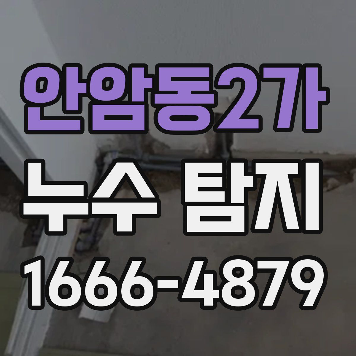 안암동2가 누수 탐지