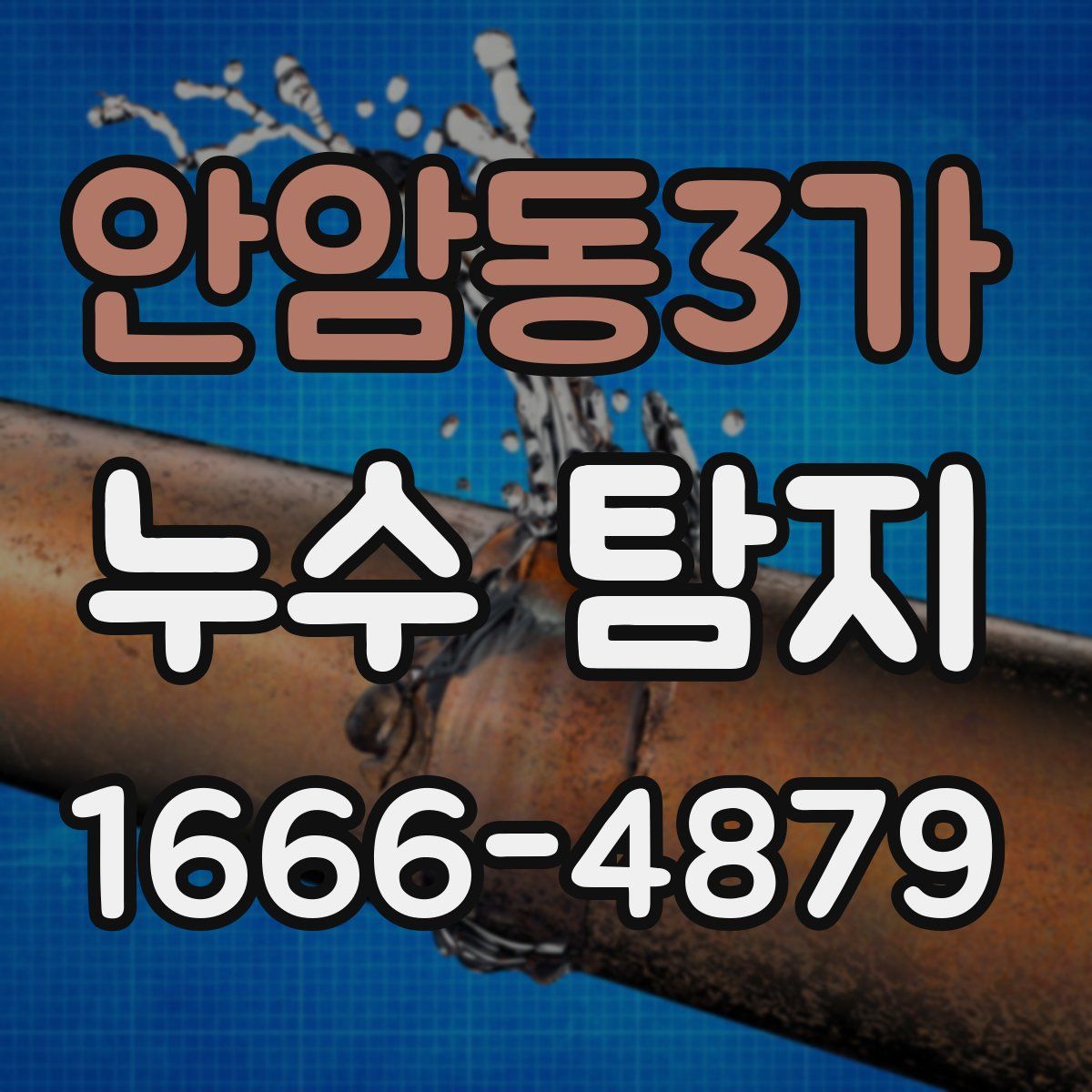 안암동3가 누수 탐지