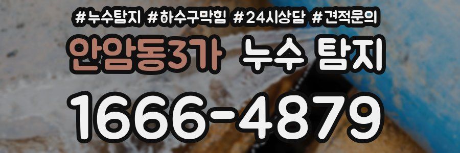 안암동3가 누수 탐지