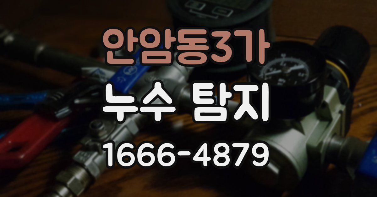안암동3가 누수 탐지
