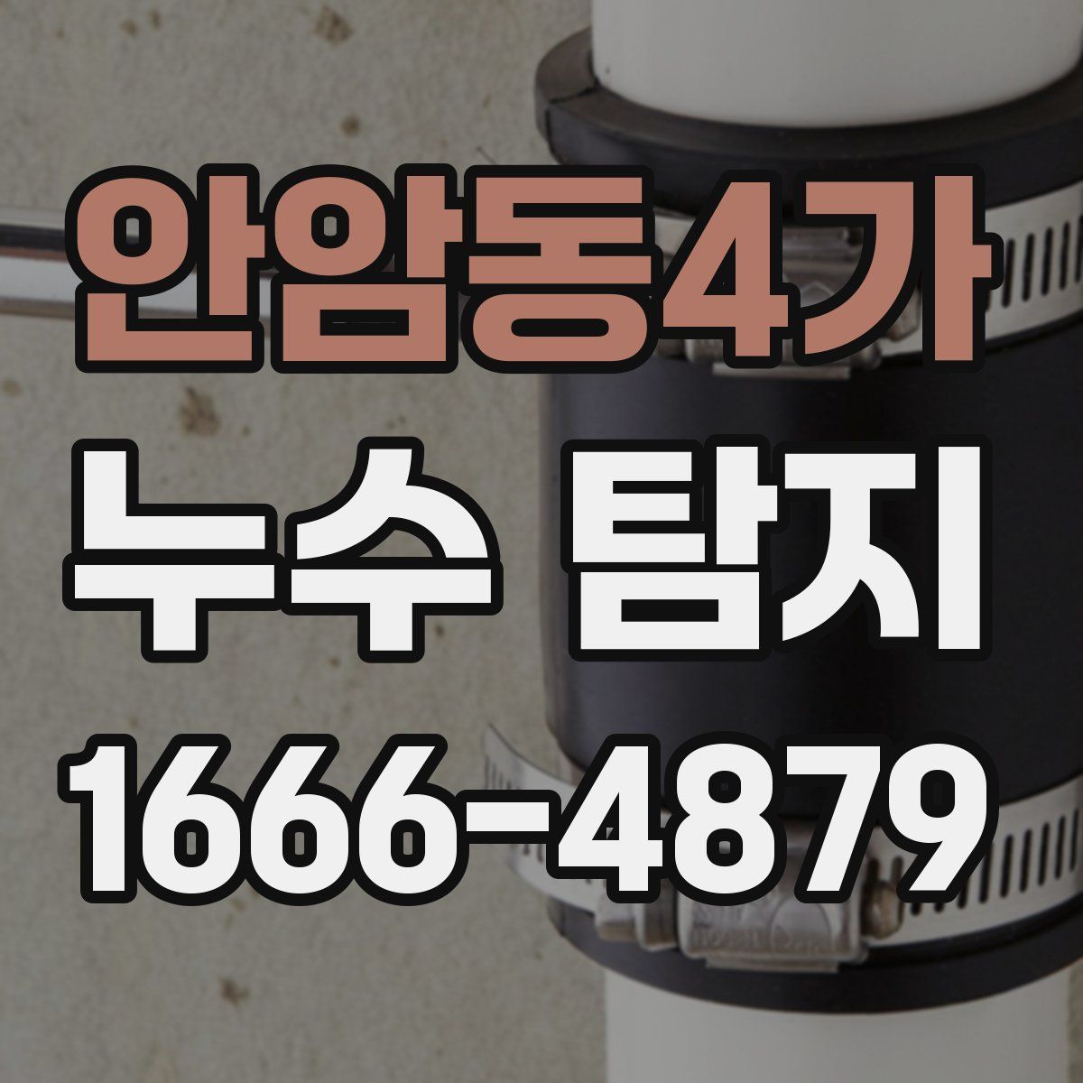 안암동4가 누수 탐지