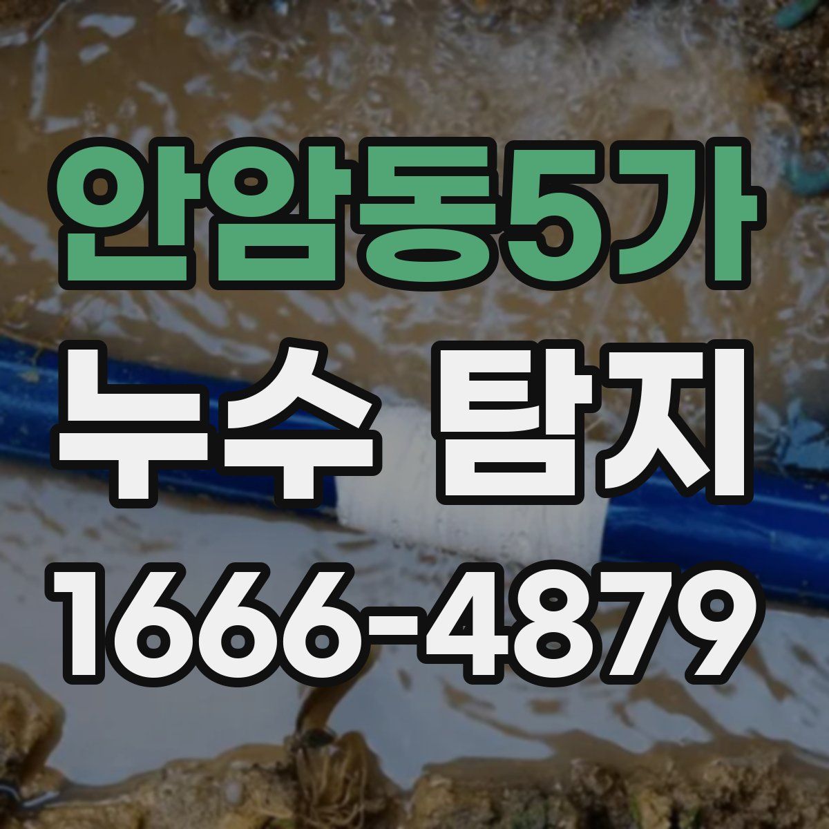 안암동5가 누수 탐지