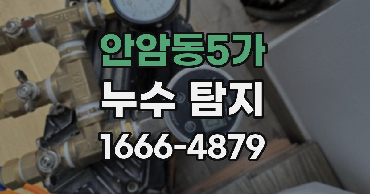 안암동5가 누수 탐지