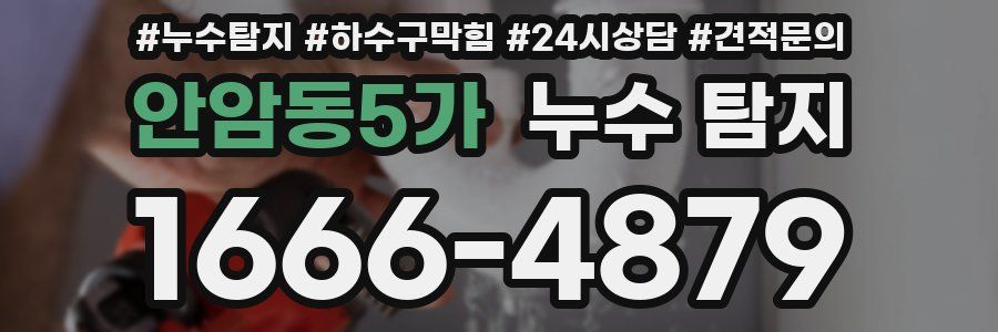 안암동5가 누수 탐지