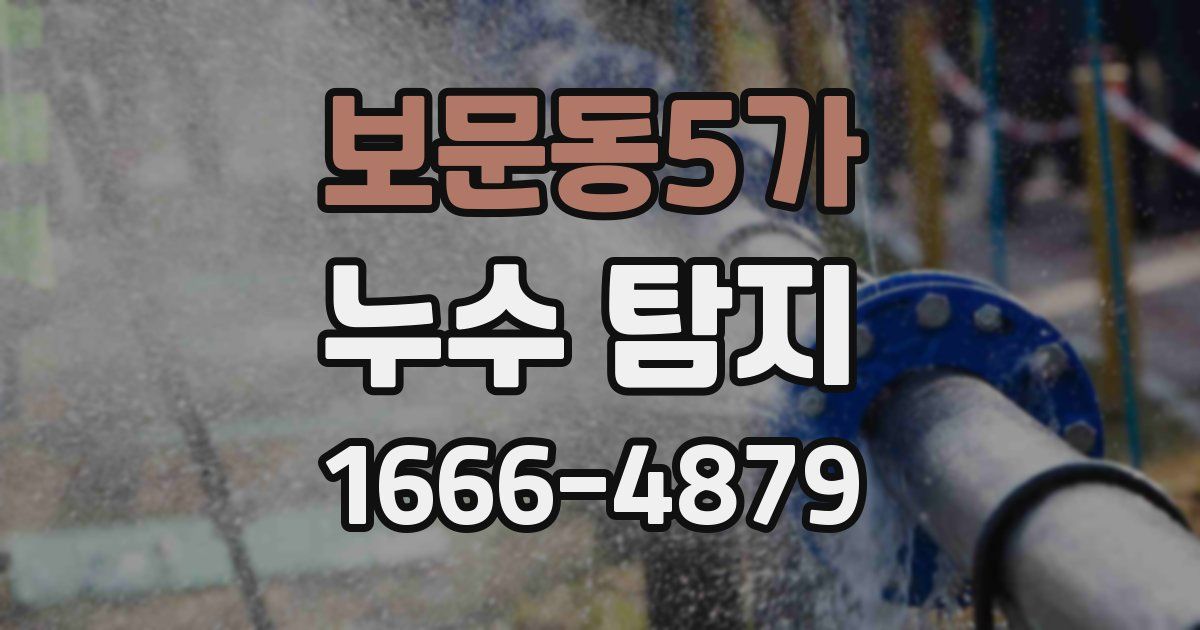 보문동5가 누수 탐지