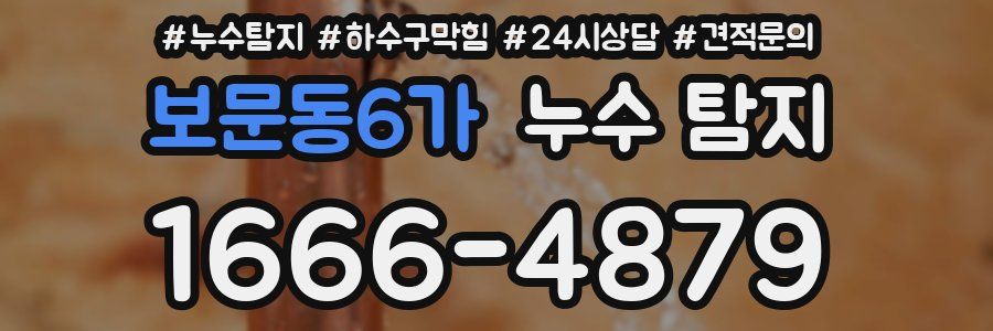 보문동6가 누수 탐지