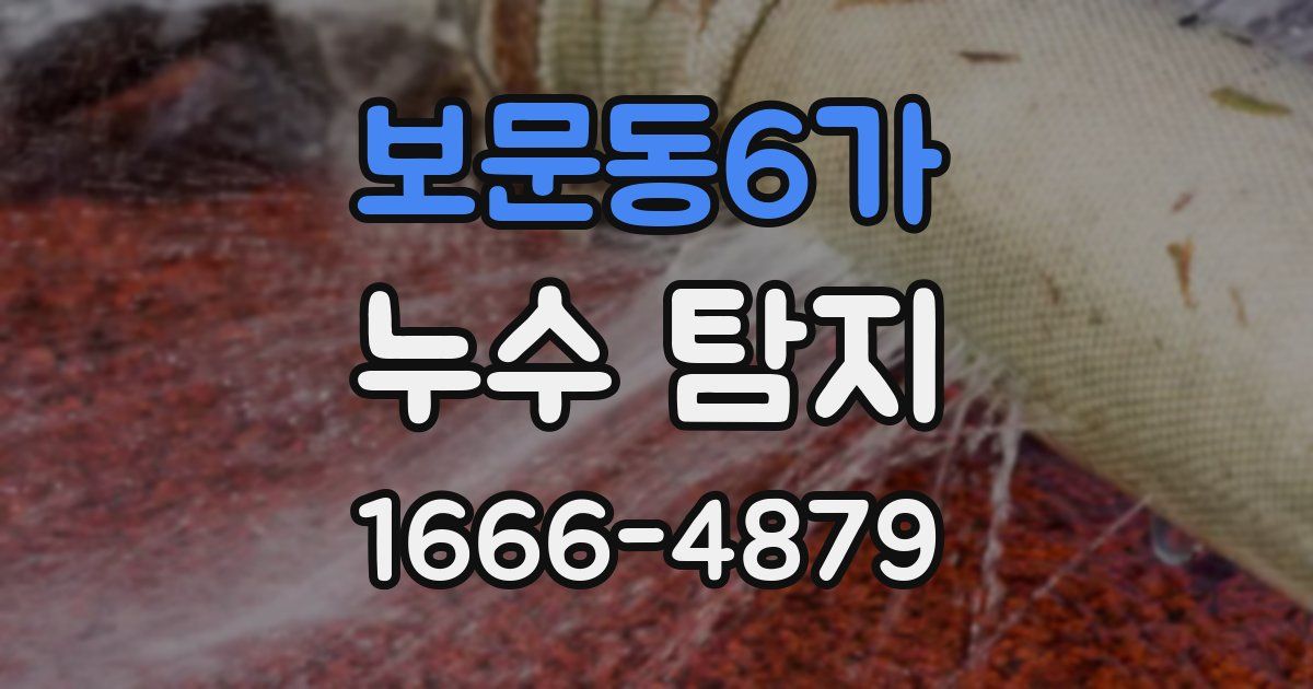 보문동6가 누수 탐지